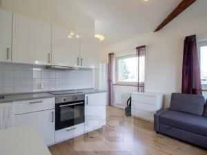 Pronájem bytu 1+kk, Praha - Krč, Budějovická, 30 m2
