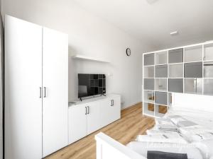 Pronájem bytu 1+kk, Praha - Kyje, Za černým mostem, 27 m2