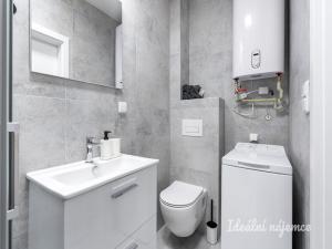 Pronájem bytu 1+kk, Praha - Kyje, Za černým mostem, 27 m2