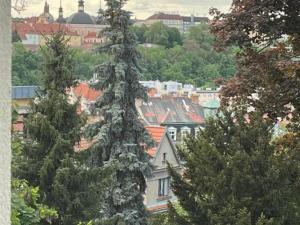 Pronájem bytu 1+kk, Praha - Nusle, Lumírova, 32 m2