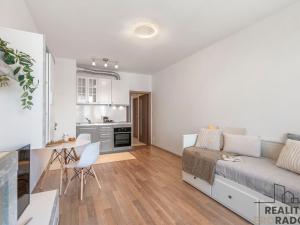 Prodej bytu 1+kk, Praha - Horní Měcholupy, Mantovská, 36 m2