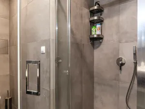 Pronájem bytu 2+kk, Praha - Vinohrady, Mánesova, 55 m2