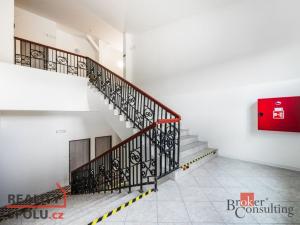Prodej bytu 1+kk, Ostrava - Přívoz, Palackého, 25 m2