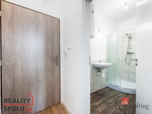 Prodej bytu 1+kk, Ostrava - Přívoz, Palackého, 26 m2
