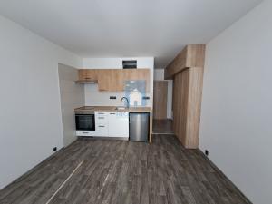 Pronájem bytu 1+kk, Plzeň, Staniční, 27 m2