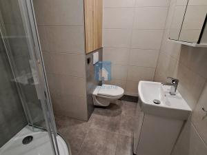 Pronájem bytu 1+kk, Plzeň, Staniční, 27 m2