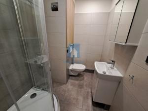 Pronájem bytu 1+kk, Plzeň, Staniční, 27 m2