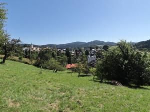 Prodej pozemku pro bydlení, Kašperské Hory, 3670 m2