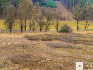 Prodej zahrady, Všelibice, 2410 m2