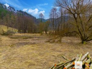 Prodej zahrady, Všelibice, 2410 m2
