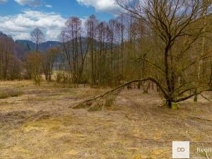 Prodej zahrady, Všelibice, 2410 m2
