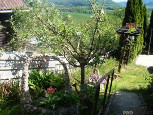 Prodej chaty, Rapotín, 45 m2