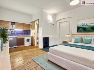 Pronájem bytu 1+kk, Ústí nad Labem - Ústí nad Labem-centrum, Emy Destinové, 21 m2