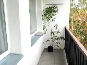 Pronájem bytu 3+1, Benešov, Kpt. Nálepky, 73 m2