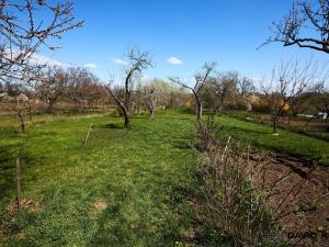 Prodej zahrady, Rajhrad, 752 m2