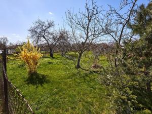 Prodej zahrady, Rajhrad, 752 m2