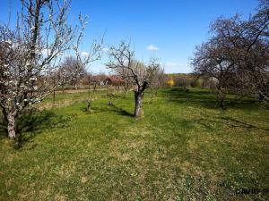 Prodej zahrady, Rajhrad, 752 m2
