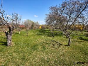 Prodej zahrady, Rajhrad, 752 m2