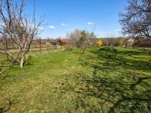 Prodej zahrady, Rajhrad, 752 m2