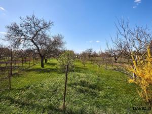 Prodej zahrady, Rajhrad, 752 m2