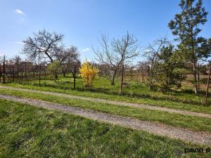 Prodej zahrady, Rajhrad, 752 m2