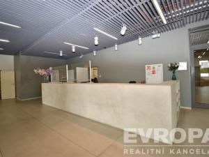 Prodej bytu 1+kk, Praha - Vysočany, Freyova, 22 m2