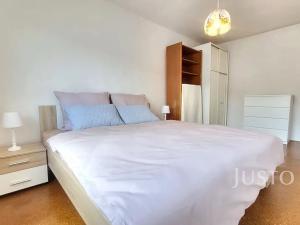 Prodej rodinného domu, Písek, Jeronýmova, 231 m2