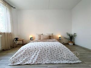 Pronájem bytu 2+1, Kestřany, 60 m2