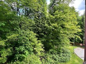 Prodej bytu 4+1, Třinec, Sosnová, 80 m2