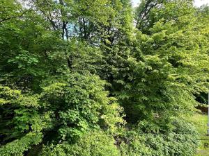 Prodej bytu 4+1, Třinec, Sosnová, 80 m2