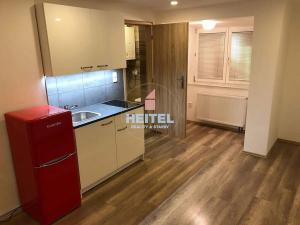 Pronájem bytu 1+kk, Olomouc, Zeyerova, 30 m2