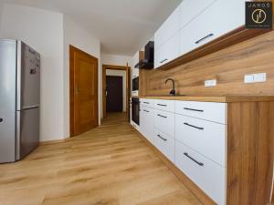 Prodej bytu 1+1, Děčín - Děčín IV-Podmokly, Příbramská, 44 m2