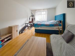 Prodej bytu 1+1, Děčín - Děčín IV-Podmokly, Příbramská, 44 m2