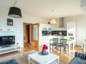 Pronájem bytu 3+kk, Ostrava - Slezská Ostrava, Michálkovická, 98 m2