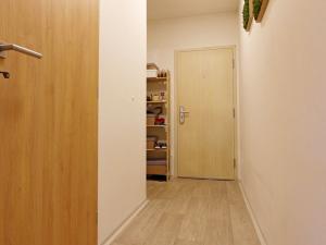 Pronájem bytu 1+kk, Brno - Trnitá, Špitálka, 35 m2