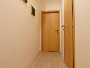 Pronájem bytu 1+kk, Brno - Trnitá, Špitálka, 35 m2