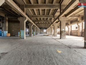 Pronájem skladu, Ostrava, Ruská, 12000 m2