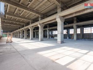 Pronájem skladu, Ostrava, Ruská, 12000 m2