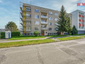 Pronájem bytu 1+1, Domažlice - Týnské Předměstí, Švabinského, 39 m2