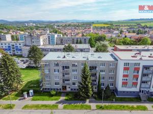Pronájem bytu 1+1, Domažlice - Týnské Předměstí, Švabinského, 39 m2