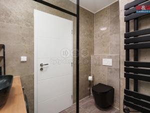 Prodej bytu 2+1, Teplice, Alejní, 47 m2