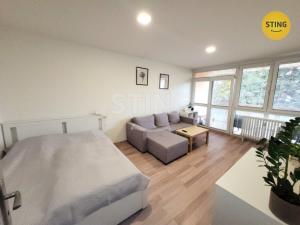 Pronájem bytu 1+1, Opava, Holasická, 37 m2