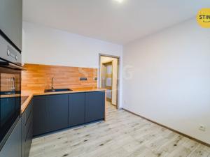 Pronájem bytu 1+1, Opava, Holasická, 37 m2