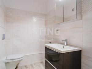 Pronájem bytu 1+1, Opava, Holasická, 37 m2