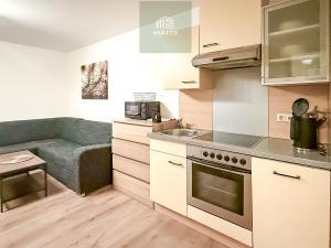Pronájem bytu 2+kk, Flattach,Rakousko, 44 m2