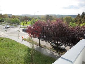 Pronájem bytu 1+kk, Mladá Boleslav - Mladá Boleslav III, Jičínská, 38 m2