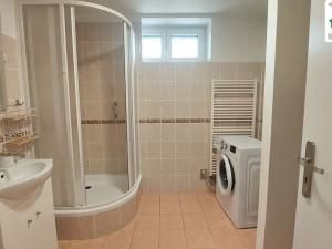 Pronájem bytu 1+1, Františkovy Lázně - Horní Lomany, Americká, 40 m2