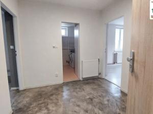 Pronájem bytu 1+1, Františkovy Lázně - Horní Lomany, Americká, 40 m2