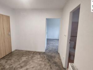 Pronájem bytu 1+1, Františkovy Lázně - Horní Lomany, Americká, 40 m2