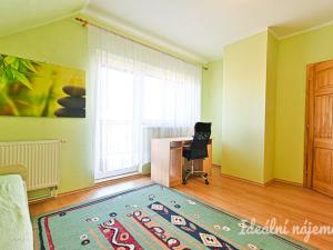 Pronájem rodinného domu, Kunovice, Na Bělince, 280 m2